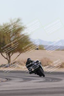 media/Nov-30-2025-TrackXperience (Sun) [[c0061d280f]]/2-Level 2/Session 6 Turn 4 Tree of Life/